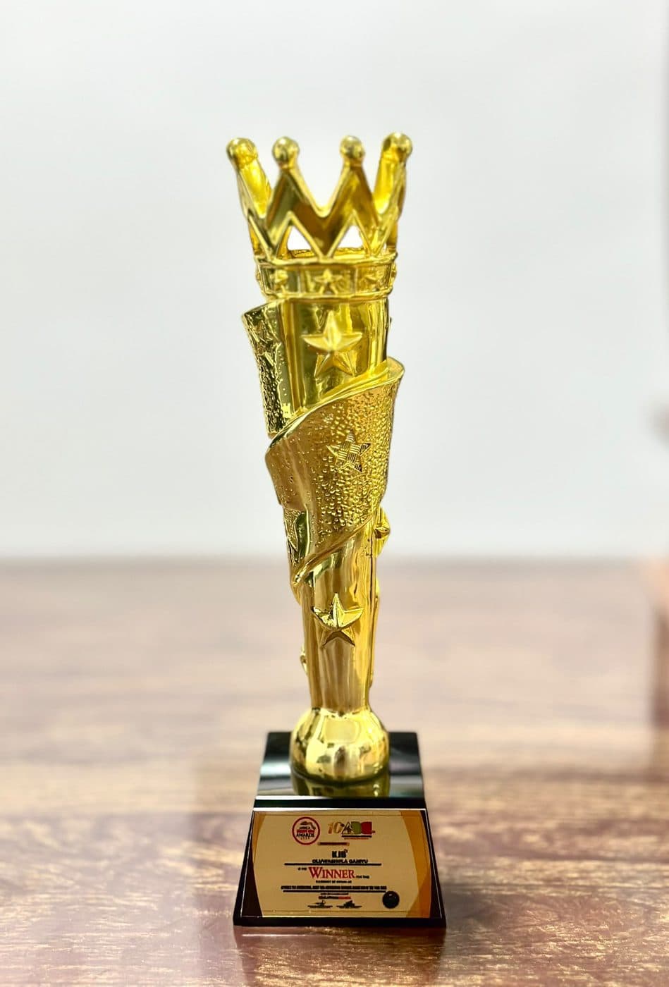Africa’s Tax Consulting, Audit and Accounting Services Brand CEO of the Year — Africa Brands CEOs Awards · 10th African Brands Congress